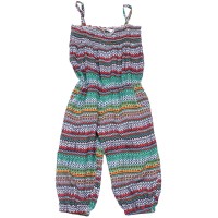 سالوبيت روفى 1604